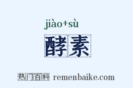 酵素是什么意思的图片